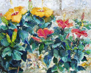 Hibiscus