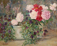 Peonies and Petunias