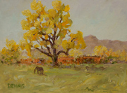 Autumn Cottonwood