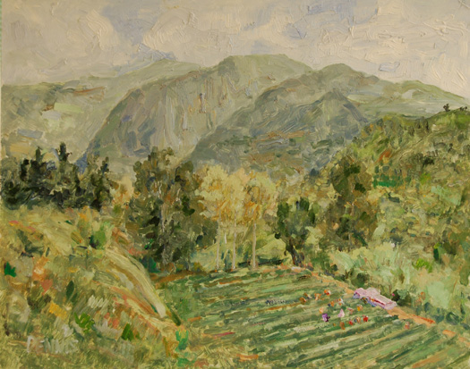 Harvesting Grapes