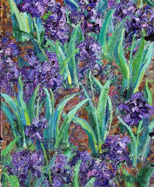 Irises 3