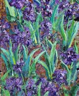 Irises 3