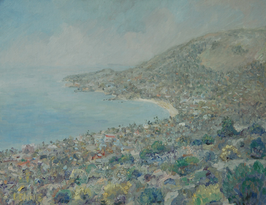 Laguna Beach from Above