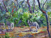 Zebras